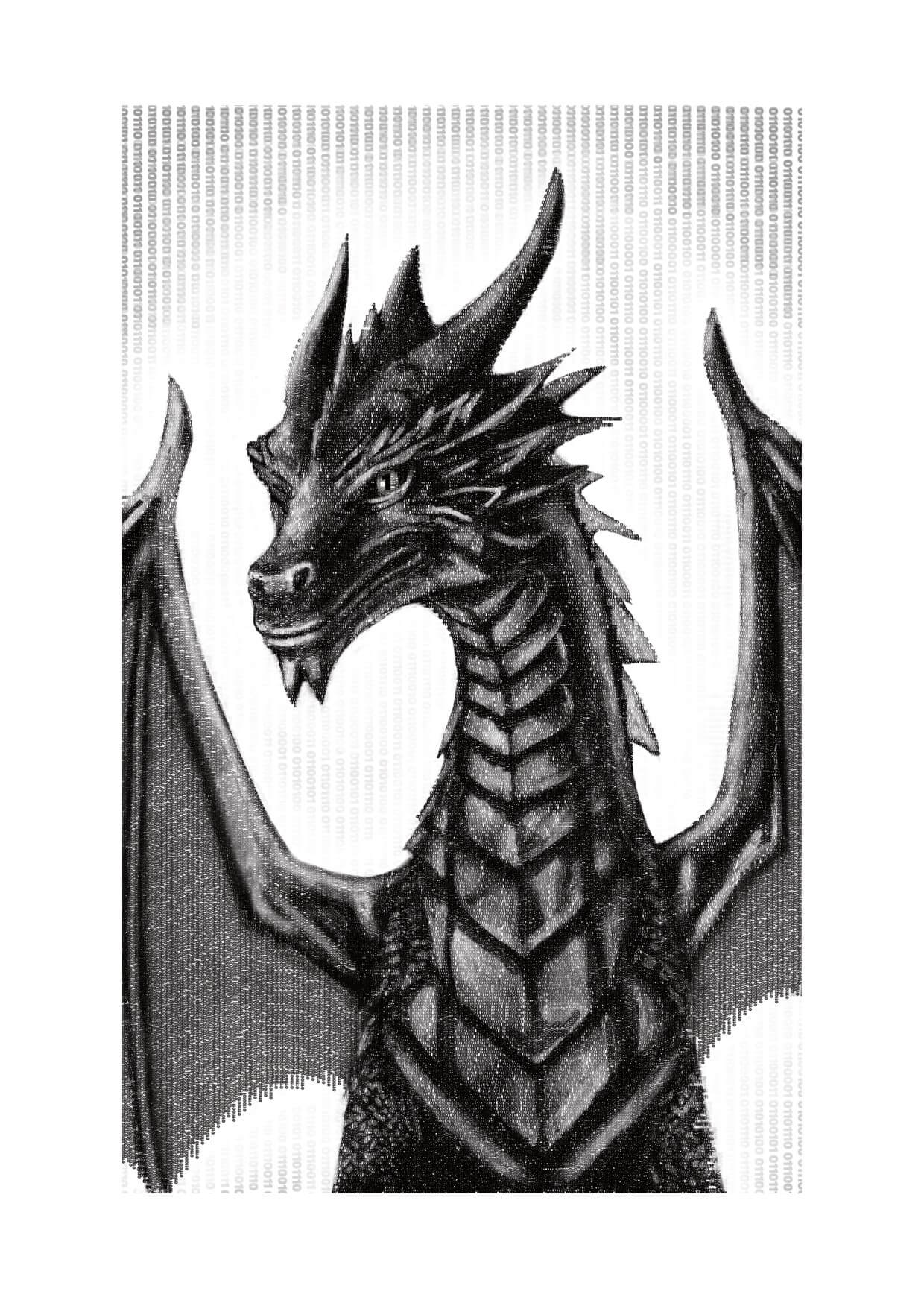 Code Dragon