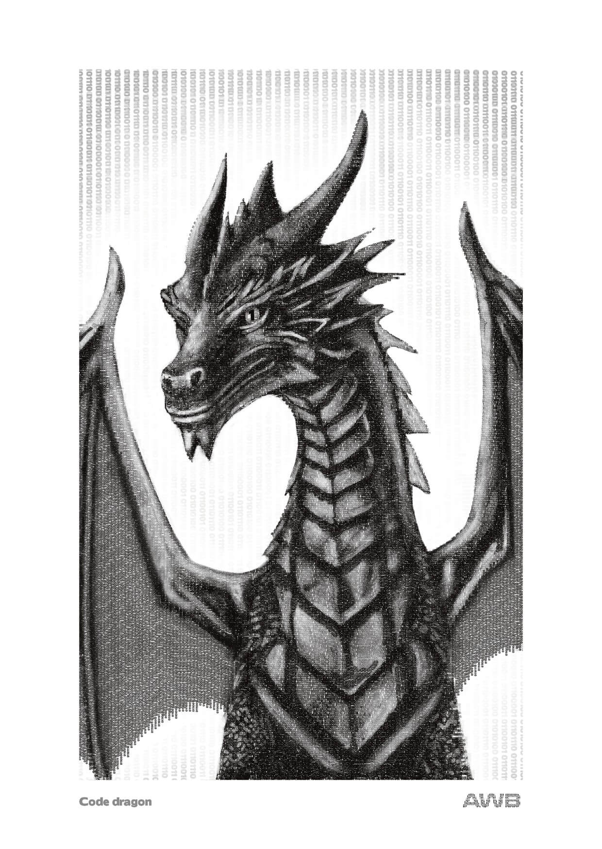Code Dragon
